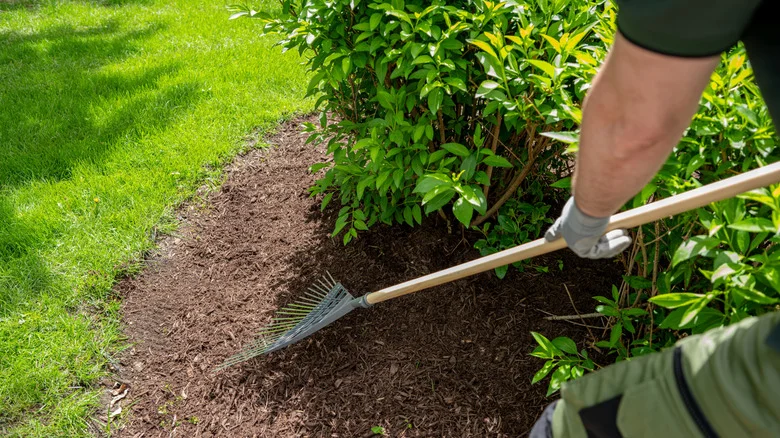 Why There’s Simply No Need To Splurge On Expensive Garden Mulch