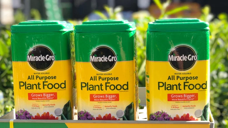 Why TikTok Warns To Stay Away From Using Miracle-Gro In Your Garden