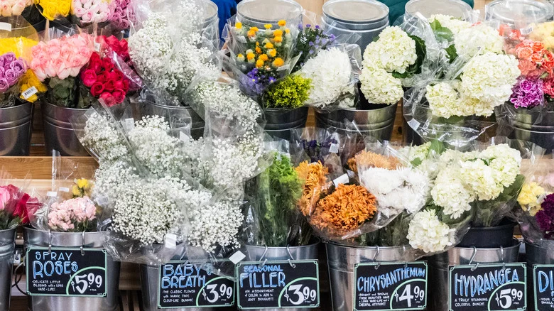 Why Trader Joe’s Is One Of The Best Places To Score Gorgeous Hydrangeas On A Budget