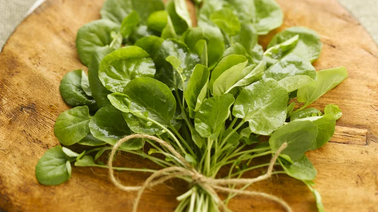 Why You May Want To Reconsider Planting Watercress In Your Garden