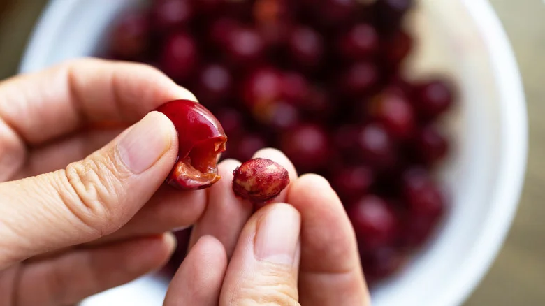 Why You Might Want To Think Twice Before Growing A Cherry Tree From A Seed