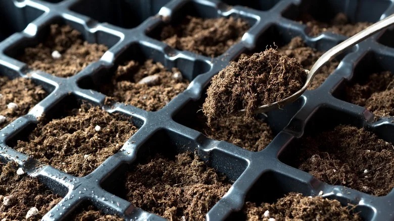 Why You Should Add A Kitchen Spoon To Your Gardening Toolkit