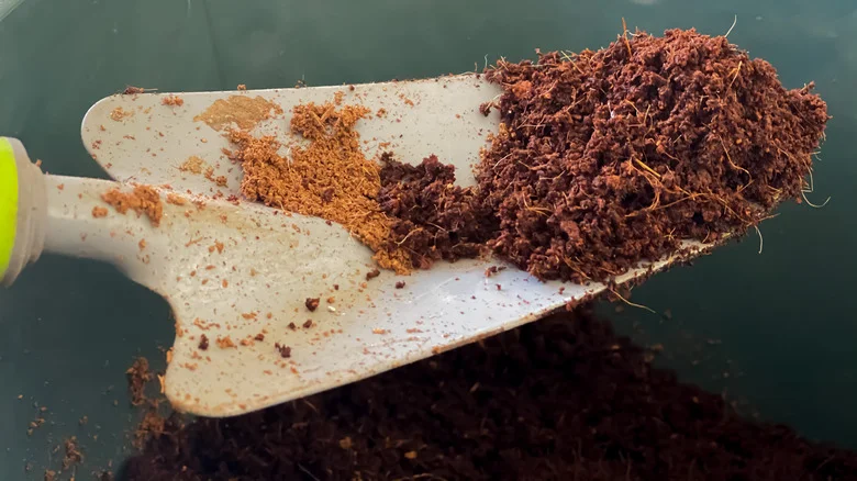 Why You Should Add Cinnamon To Your Compost Pile