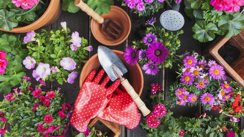 Why You Should Always Keep Your Outdoor Gloves In A Mason Jar