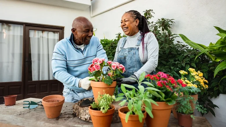 Why You Should Be Using Hydrogen Peroxide To Clean Your Garden Pots