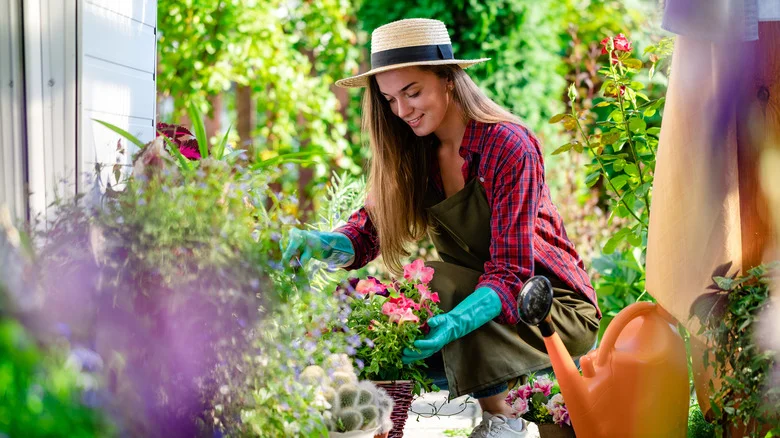 Why You Should Be Using Mustard In Your Garden