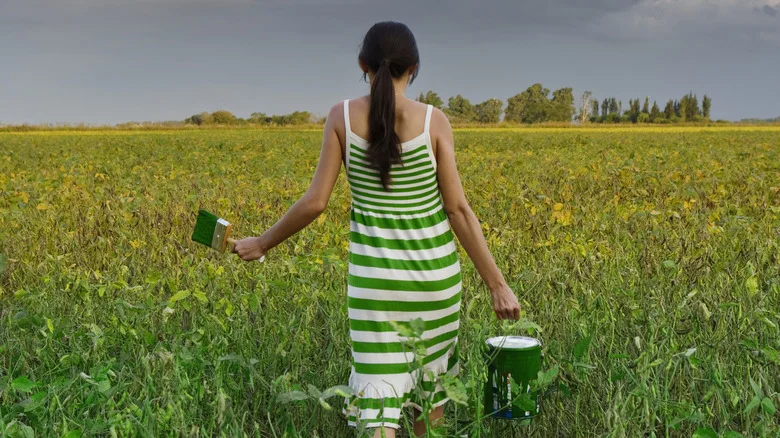 Why You Should Consider Grass Paint If You Live In A Warmer Climate