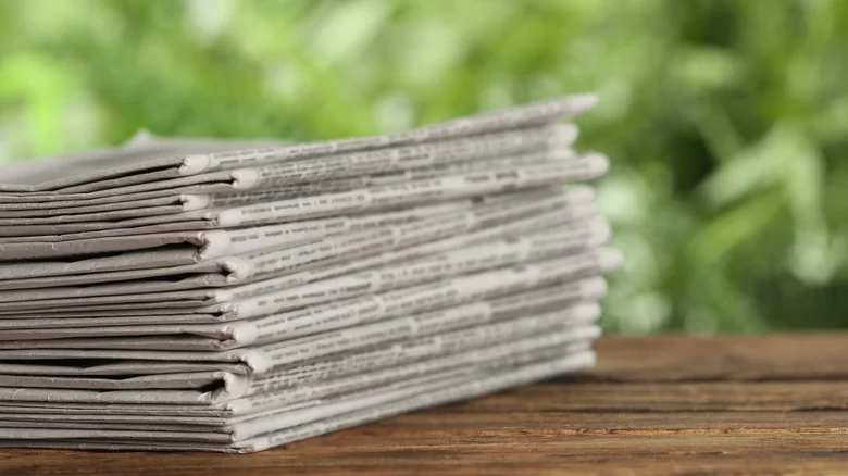 Why You Should Place A Piece Of Damp Newspaper Next To The Plants In Your Garden