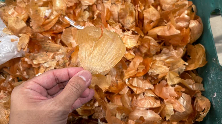 Why You Should Think Twice Before Putting Onion Scraps In Your Compost Pile
