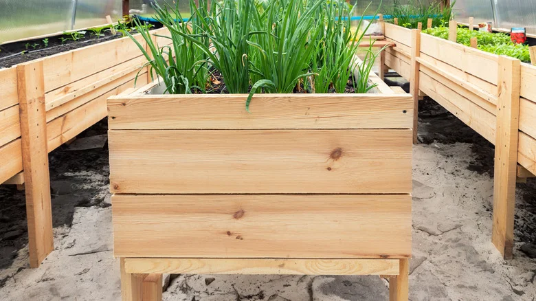 Why You Should Treat DIY Wood Planter Boxes Before Growing Anything (& How To Do It)