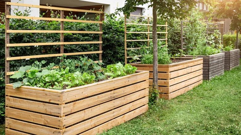 Why You Shouldn’t Skimp On The Soil When Filling A Raised Garden Bed