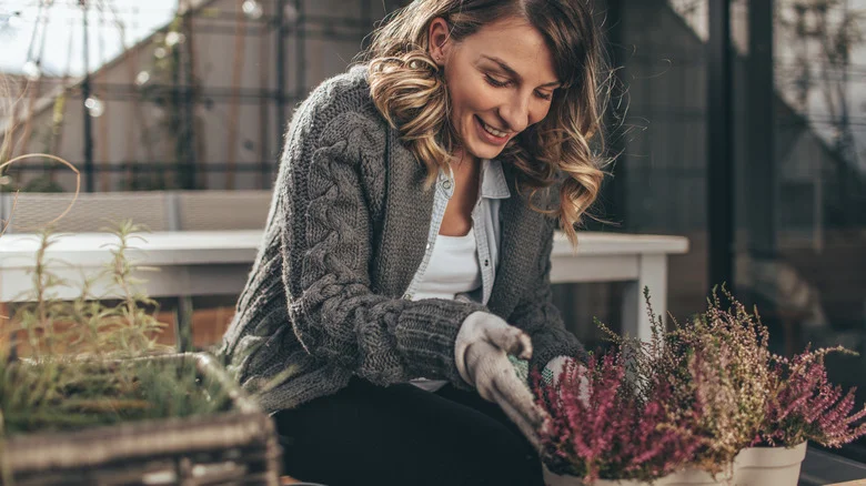 Why You’ll Want To Avoid Pruning Your Garden Plants During Fall