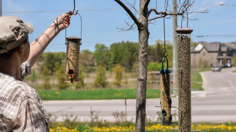 Why Your Old Trash Can May Be The Key To Pest-Free Bird Feed Storage