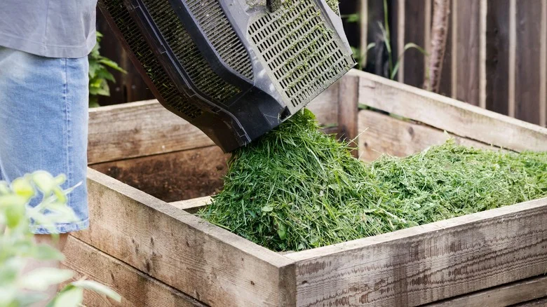 Your Compost Bin Is Begging For Your Leftover Grass Clippings
