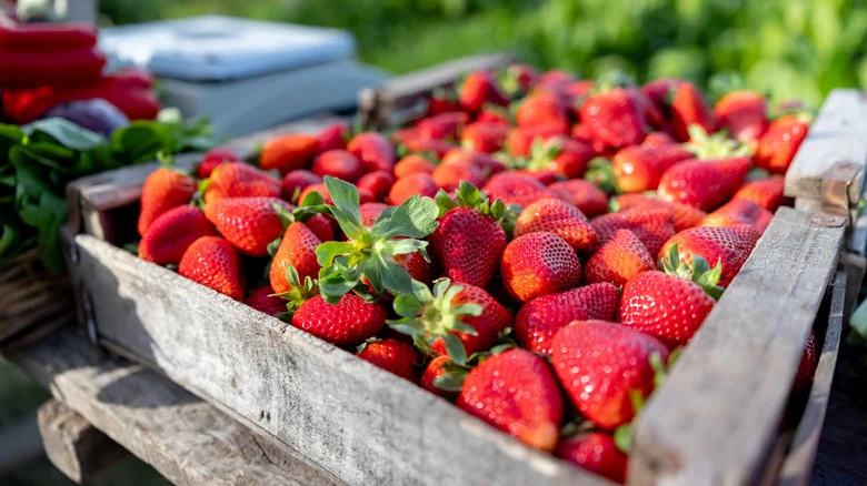 You’ve Been Storing Your Strawberries All Wrong, And The Right Place Will Surprise You